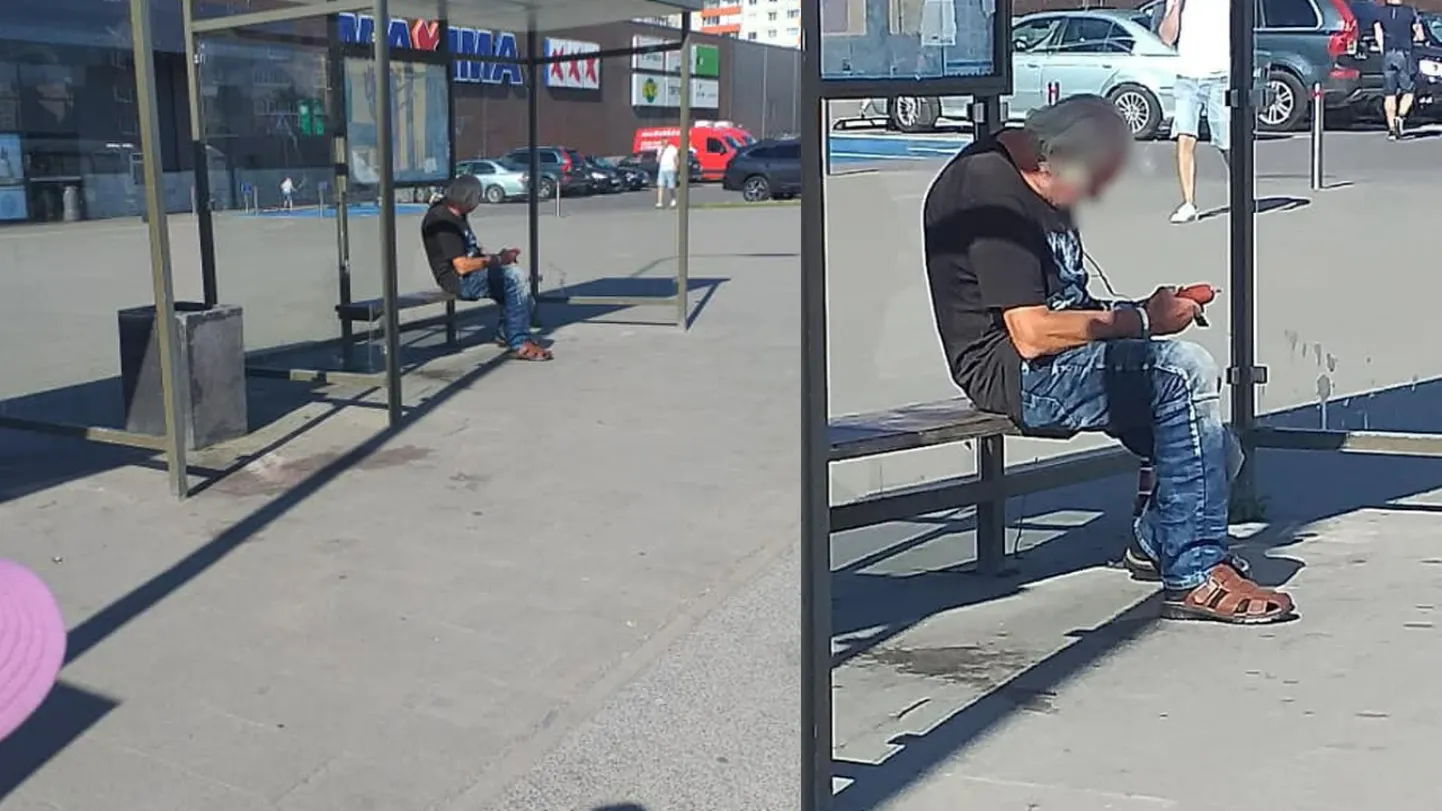 Artikli foto
