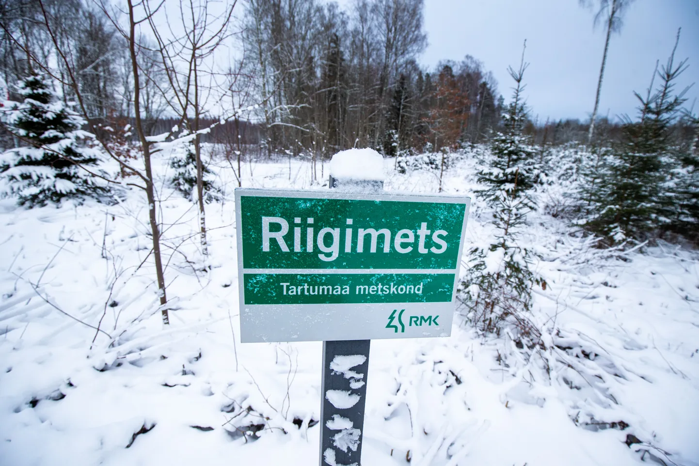 Riigimetsa Majandamise Keskus (RMK) annab valikpakkumise korras tasu eest
kasutamiseks RMK valduses olevaid poollooduslikke kooslusi sisaldavaid kinnisasju.