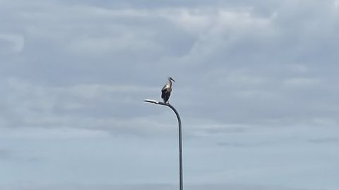 PÄEVAPILT ⟩ Sind on nähtud!