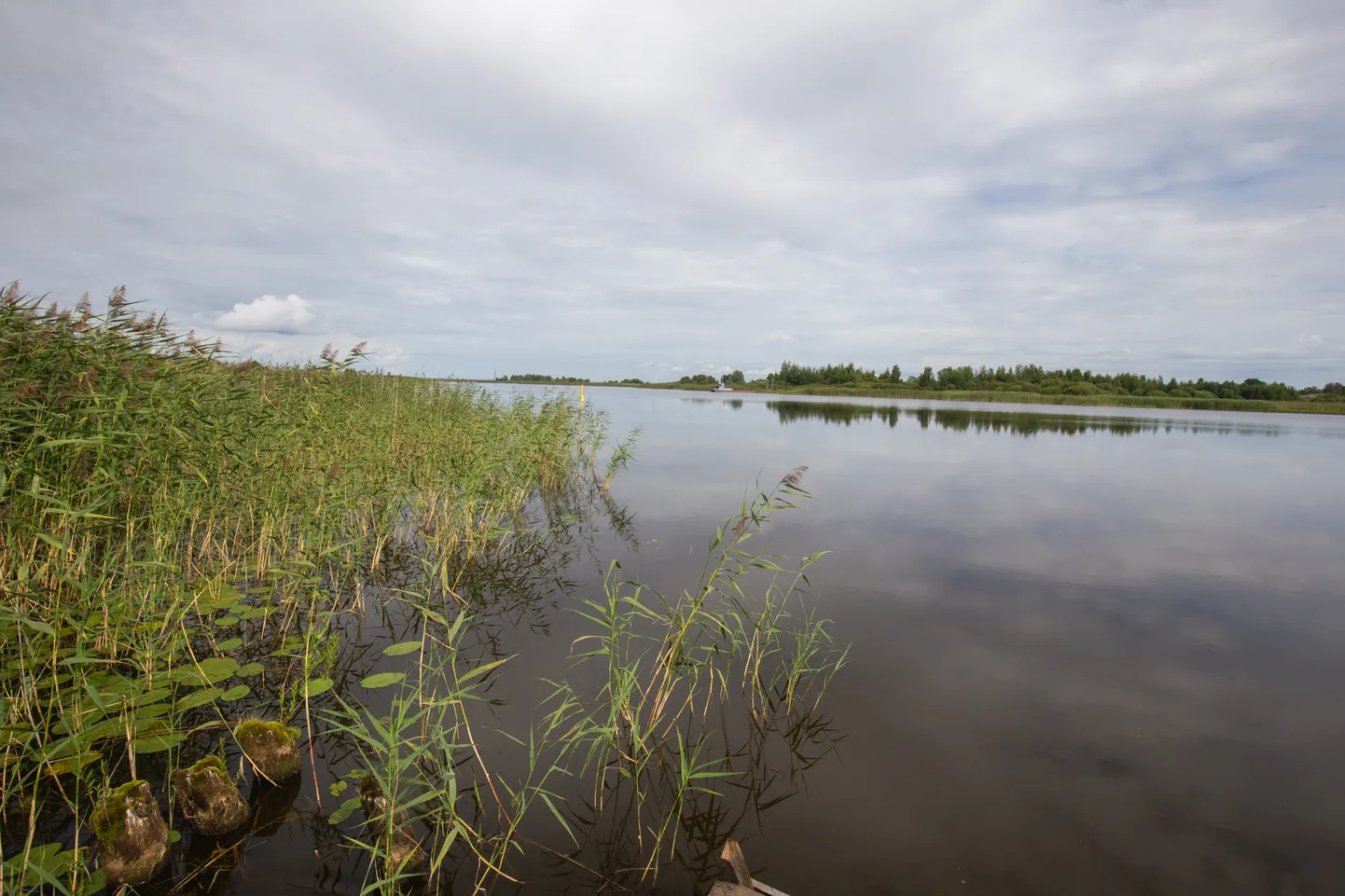 Podmotsa küla.  Pihkva järve Kuulja laht, vasakul Eesti, paremal Venemaa. Foto on illustreeriv.