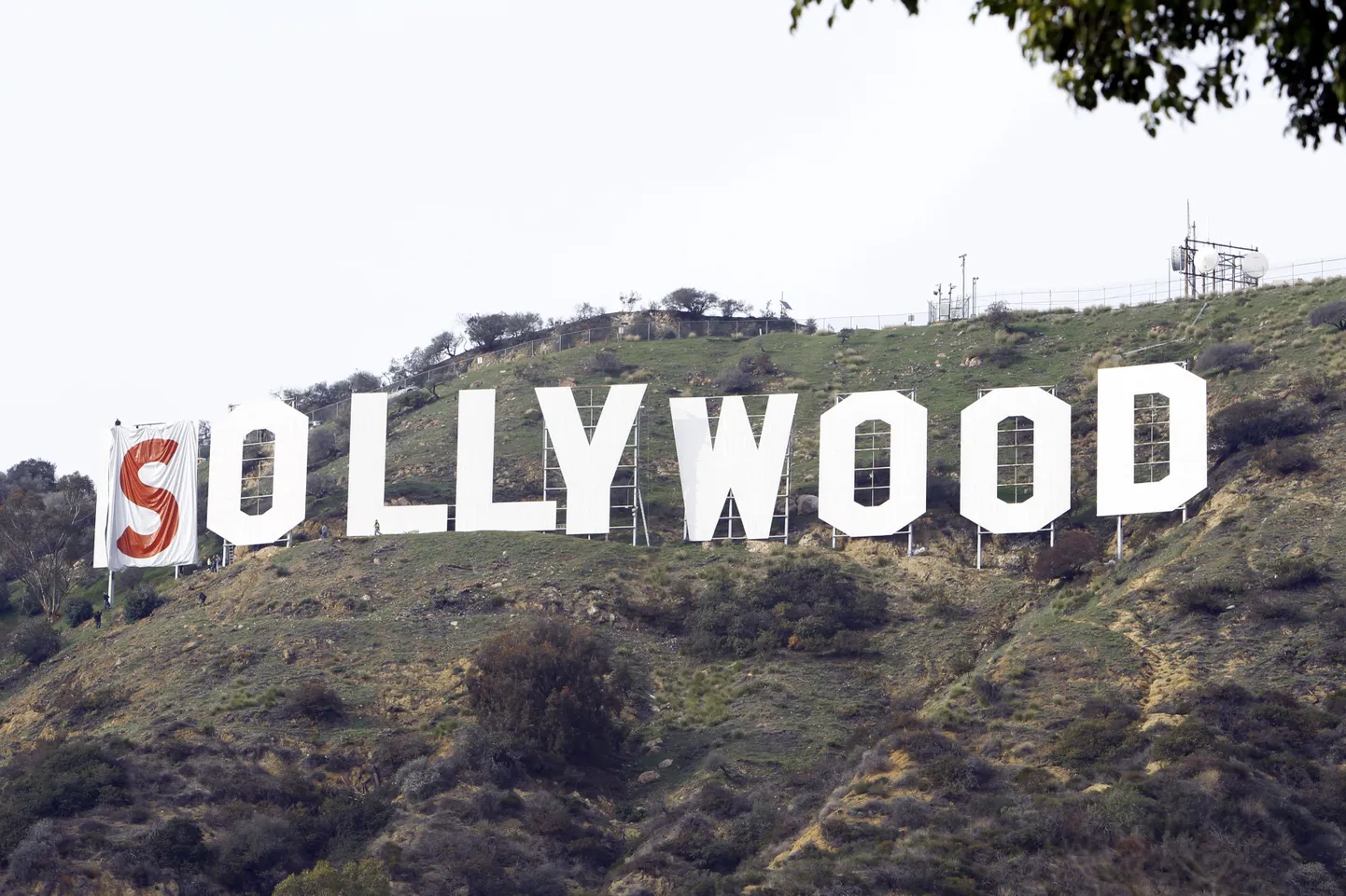 Hollywoodist sai Sollywood