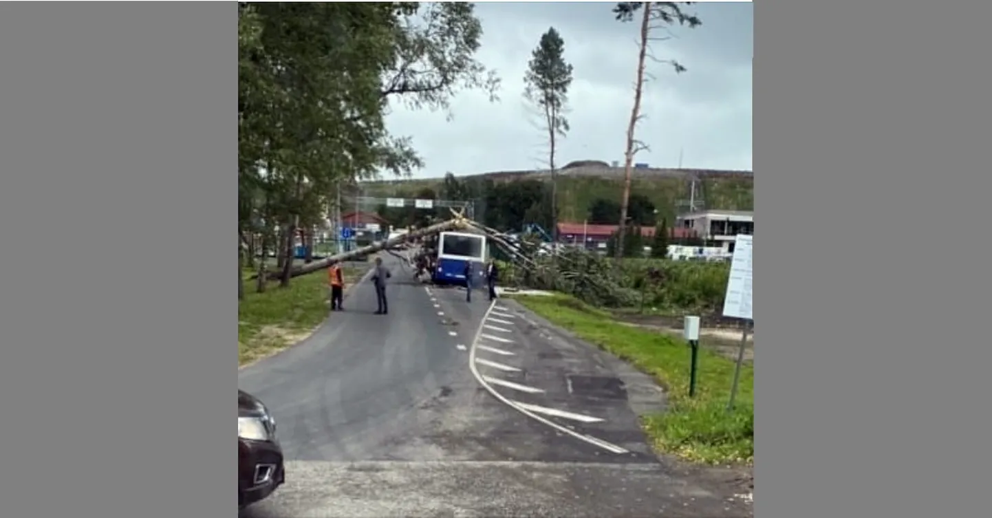 Raksta foto