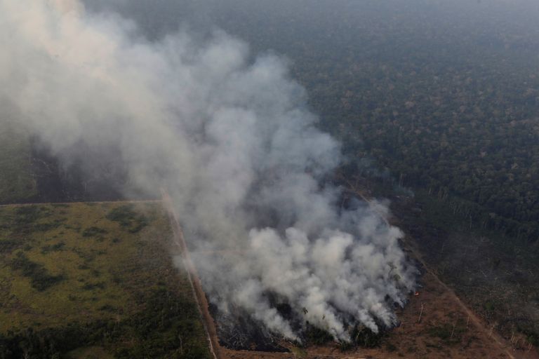 Põleng Brasiilias Rondonia osariigis Porto Velho lähedases vihmametsas