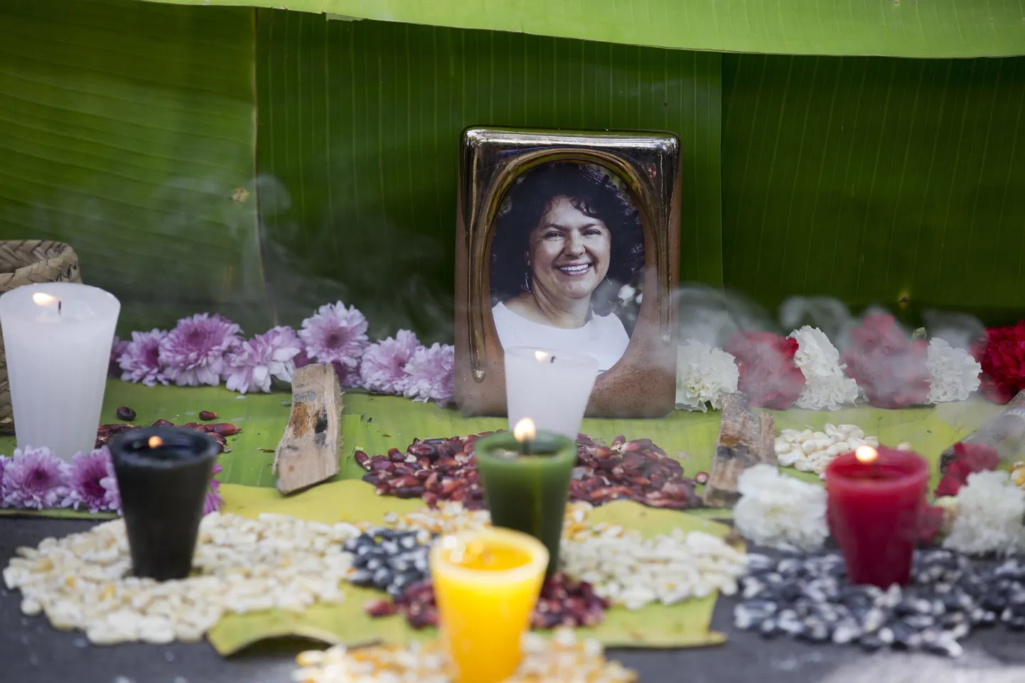 Meeleavaldus Mehhikos Hondurase saatkonna ees. Pildil on kujutatud Hondurase pärismaalaste esindaja ja keskkonnaktivist Berta Caceres, kes tapeti tapeti 2016. aasta märtsis elektrifirmade tammiehitusplaanidele vastu seismise eest.