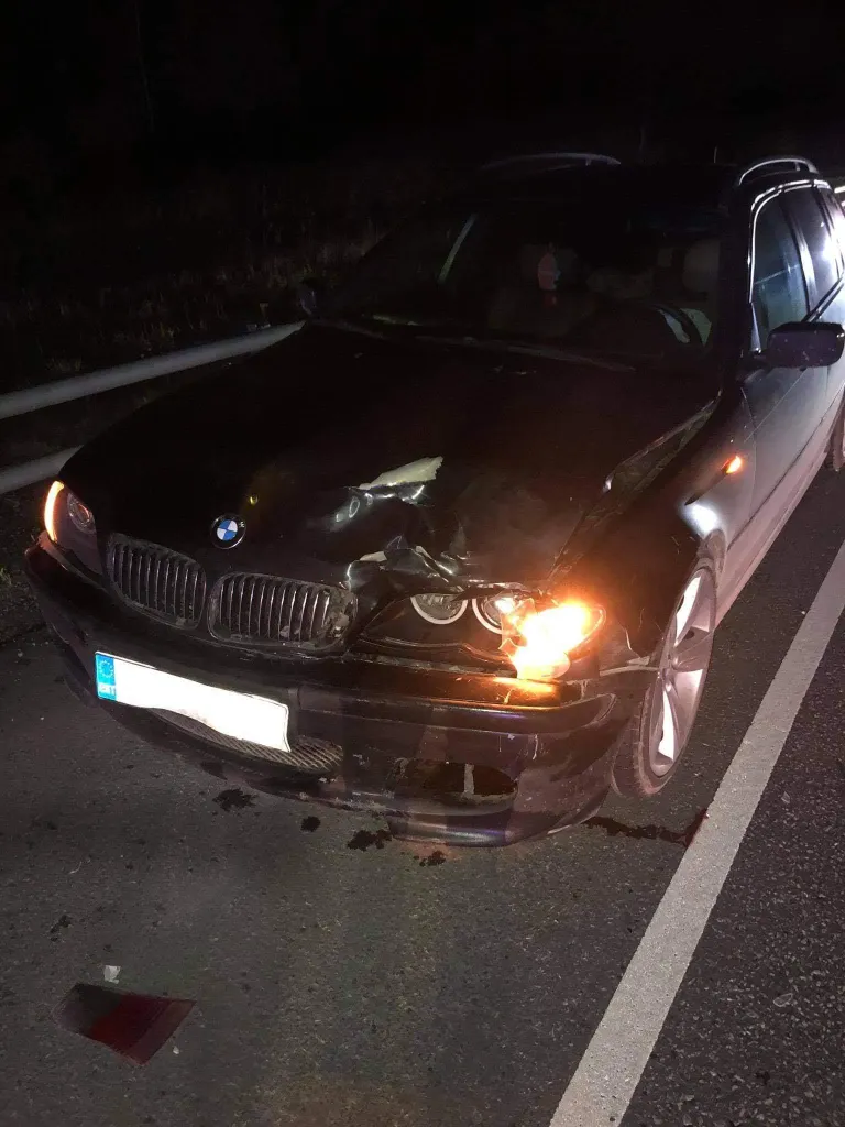 176-kilosele mesikäpale otsa sõitnud BMW esiosa sai tugevalt kahjustada.