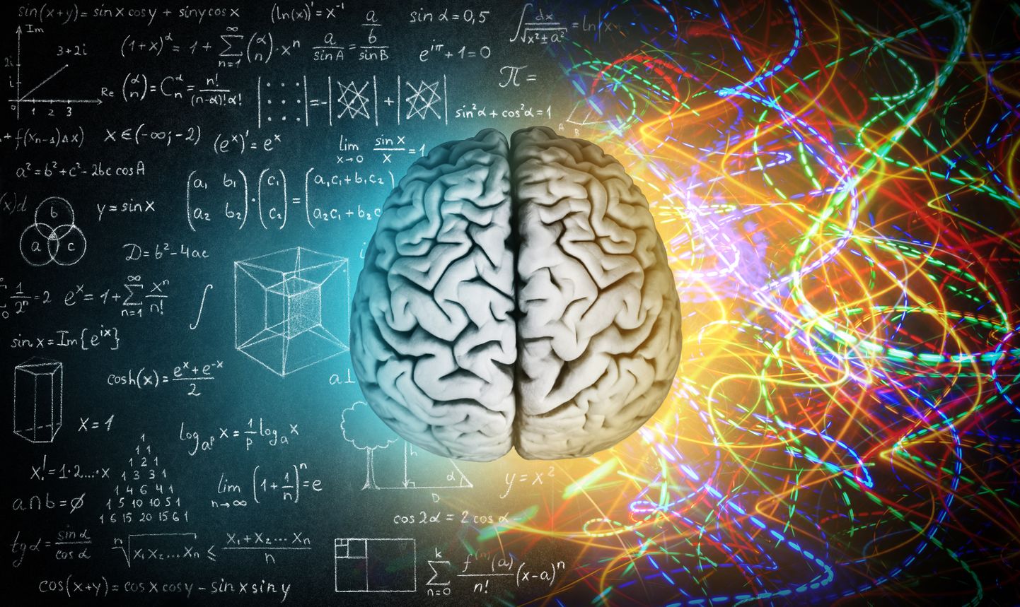 McFadden pakub välja, et aju inforikas elektromagnetväli on tegelikult teadvuse asukoht, mis juhib «vaba tahet» ja vabatahtlikke tegevusi. See uus teooria selgitaks ka seda, miks vaatamata tohutule keerukusele ja ülikiirele toimimisele pole tänapäeva arvutid ilmutanud vähimatki teadvuse sädet.
