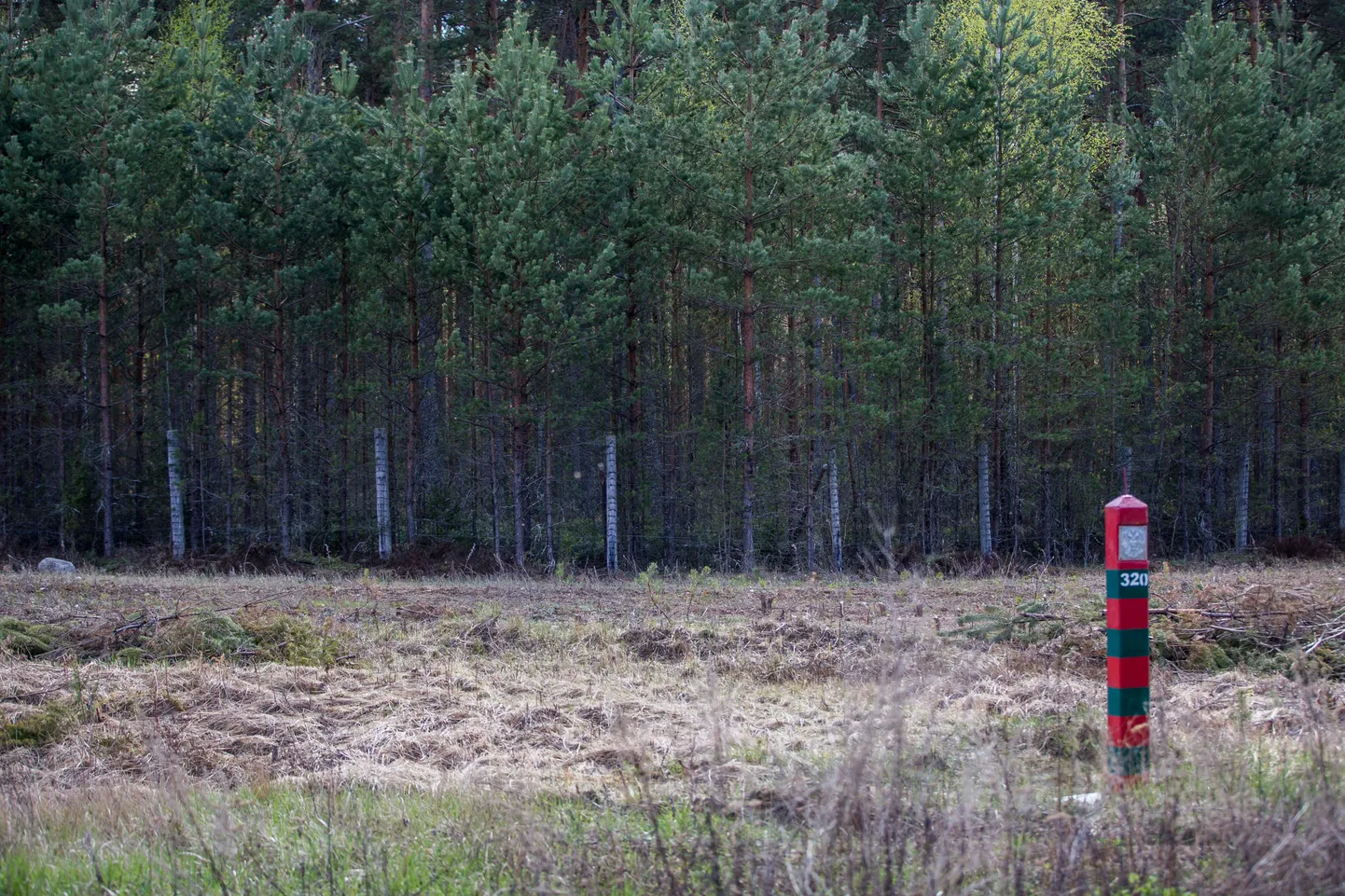 05.05.2016. Võmmorski küla. Eesti-Vene piir.