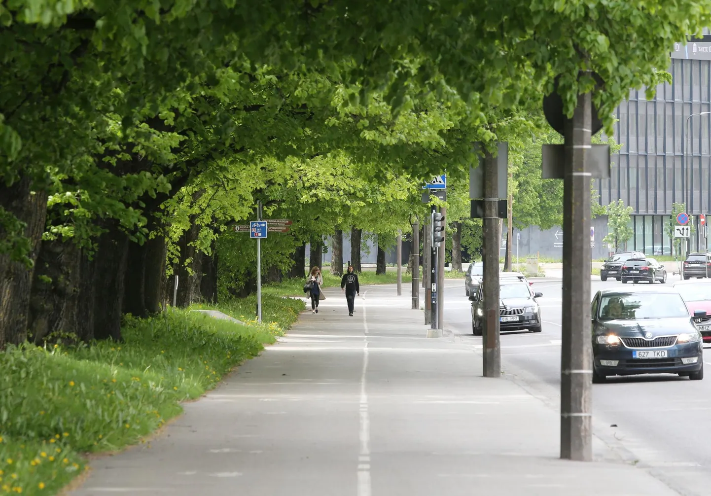 Narva maantee laternapostid ja valgustid asendatakse uutega sügiseks.