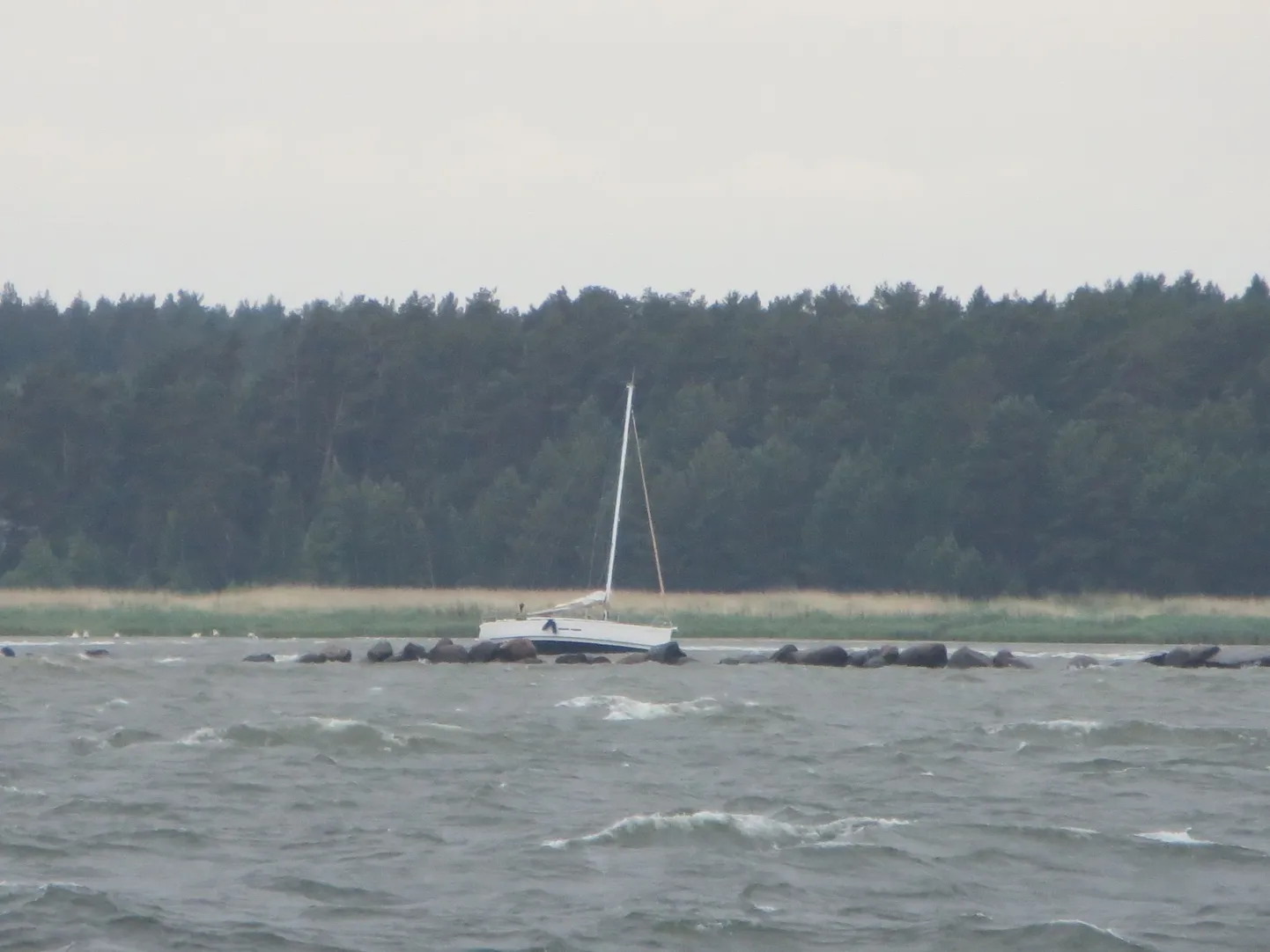 Vergi lähistel sõitis jaht madalikule.