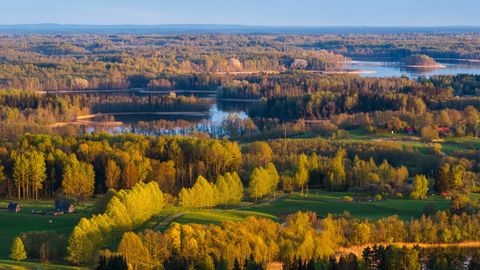 НВС не зафиксировали залет дрона, взорвавшегося в озере Дридзис