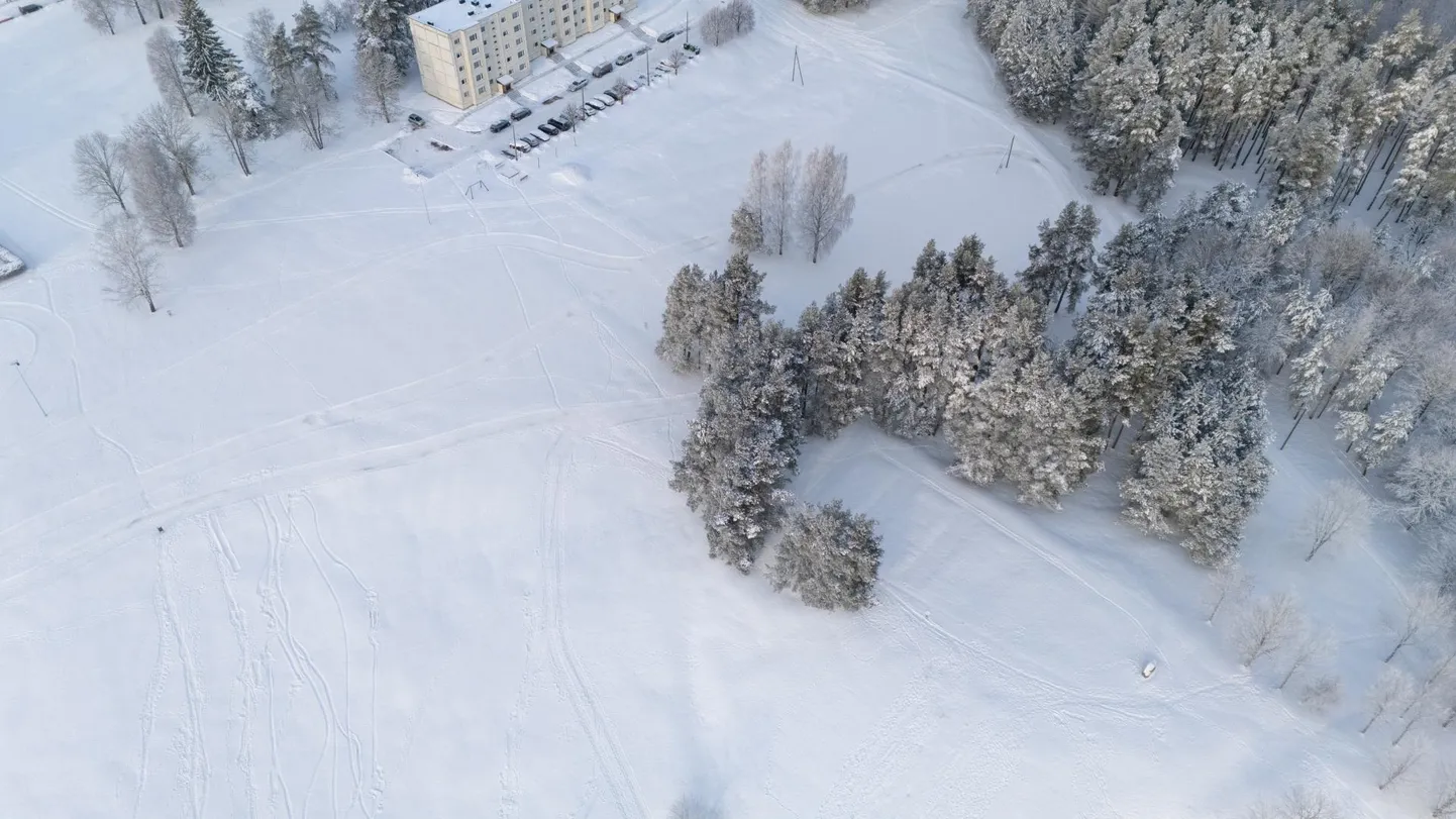 Viljandi maakonna rajad pakuvad suusalusti. Viljandis saab sõita näiteks valgustatud rajal Huntaugu mäe kõrval.