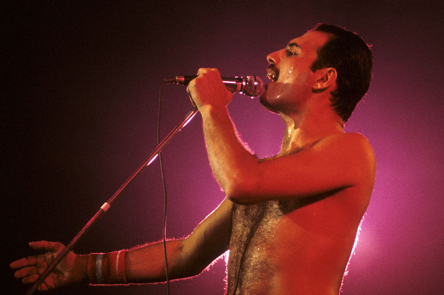 Freddie Mercury 1984. aastal bändiga Queen laval esinemas.
