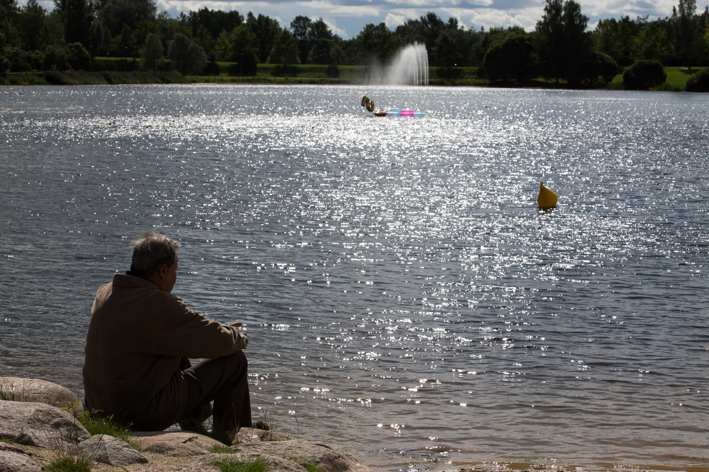 Paala järv