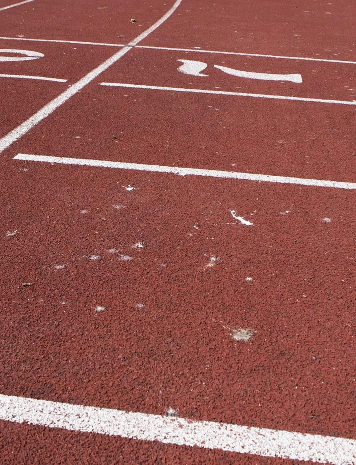 Linnastaadioni rajakate on vareste väljaheidetest valgekirju.