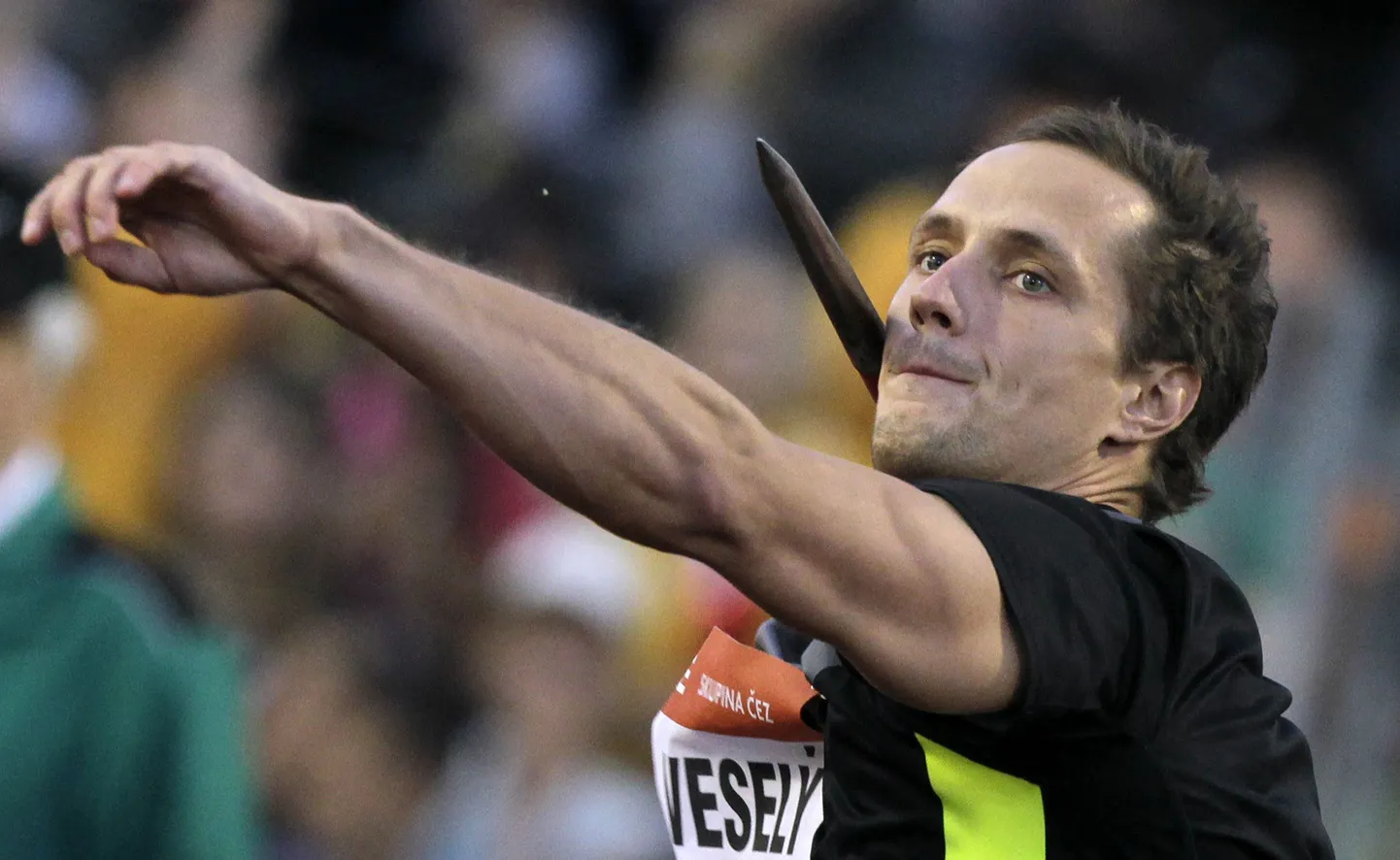 Vitezslav Vesely