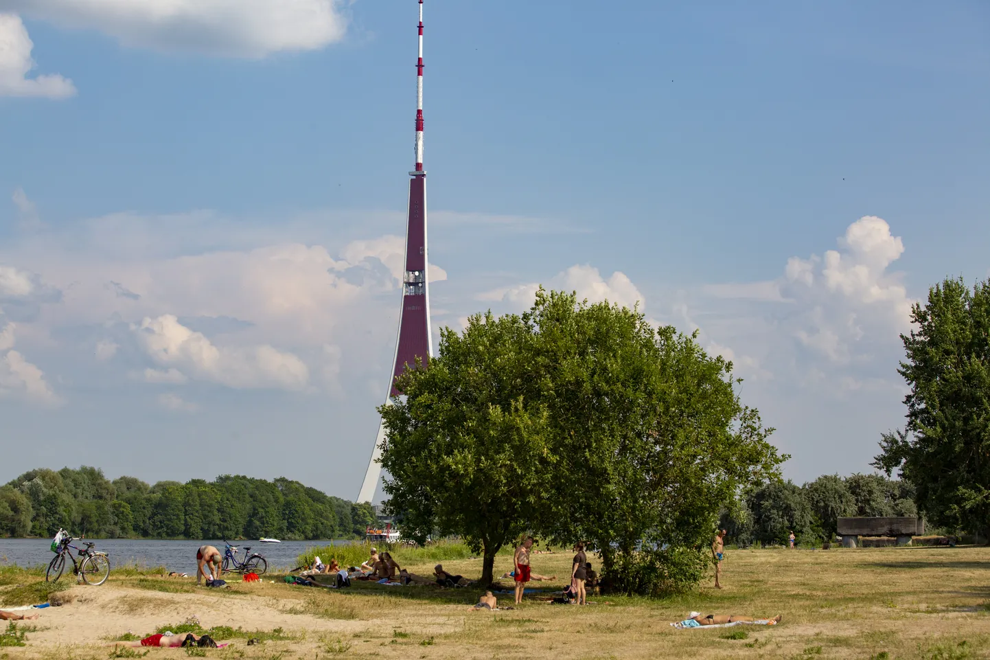 Фото статьи