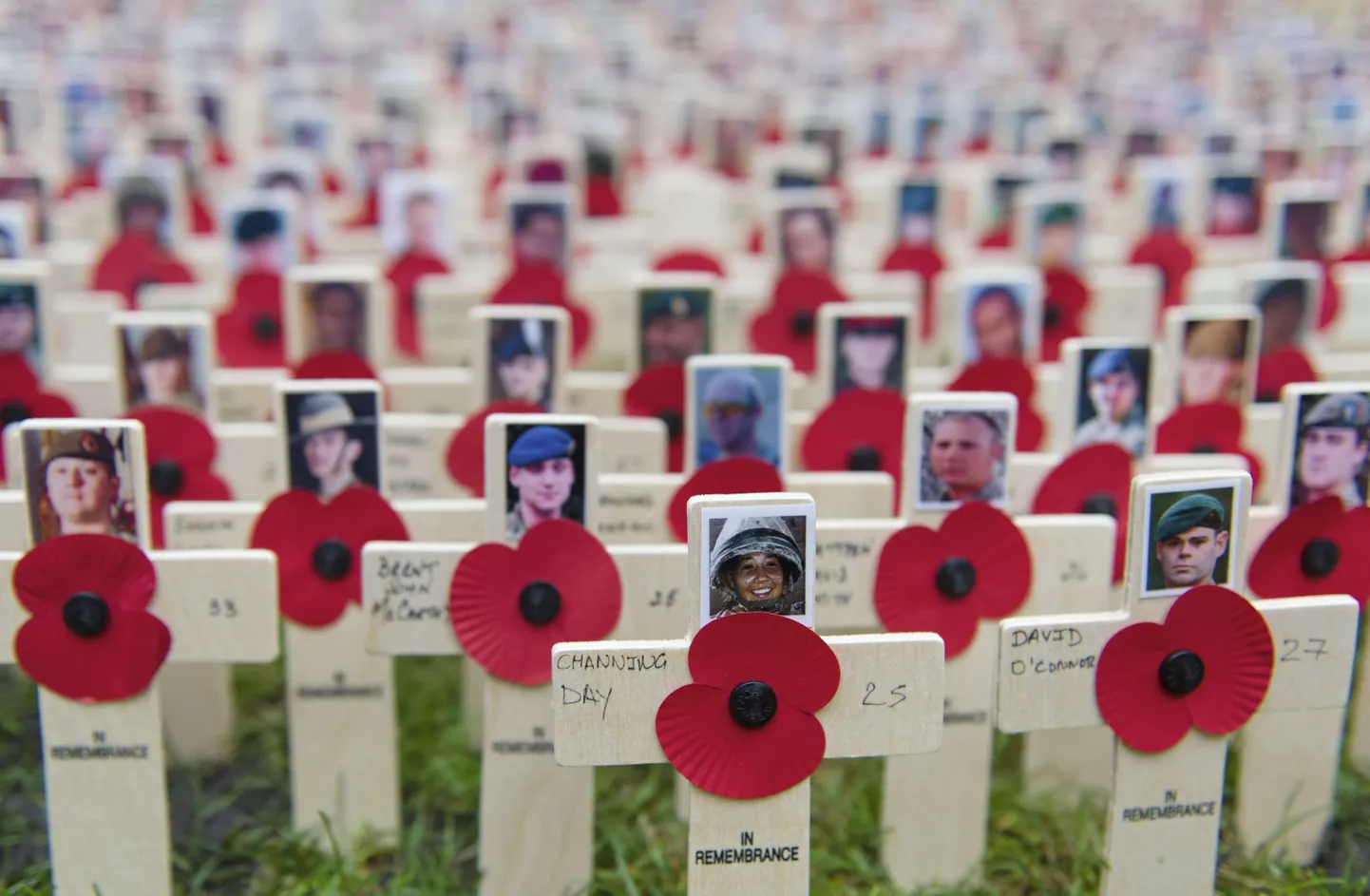 Eile Suurbritannias tähistatud veteranide päeva puhul Londonisse Westminster Abbey juurde pandud ristid Afganistanis langenute mälestuseks.