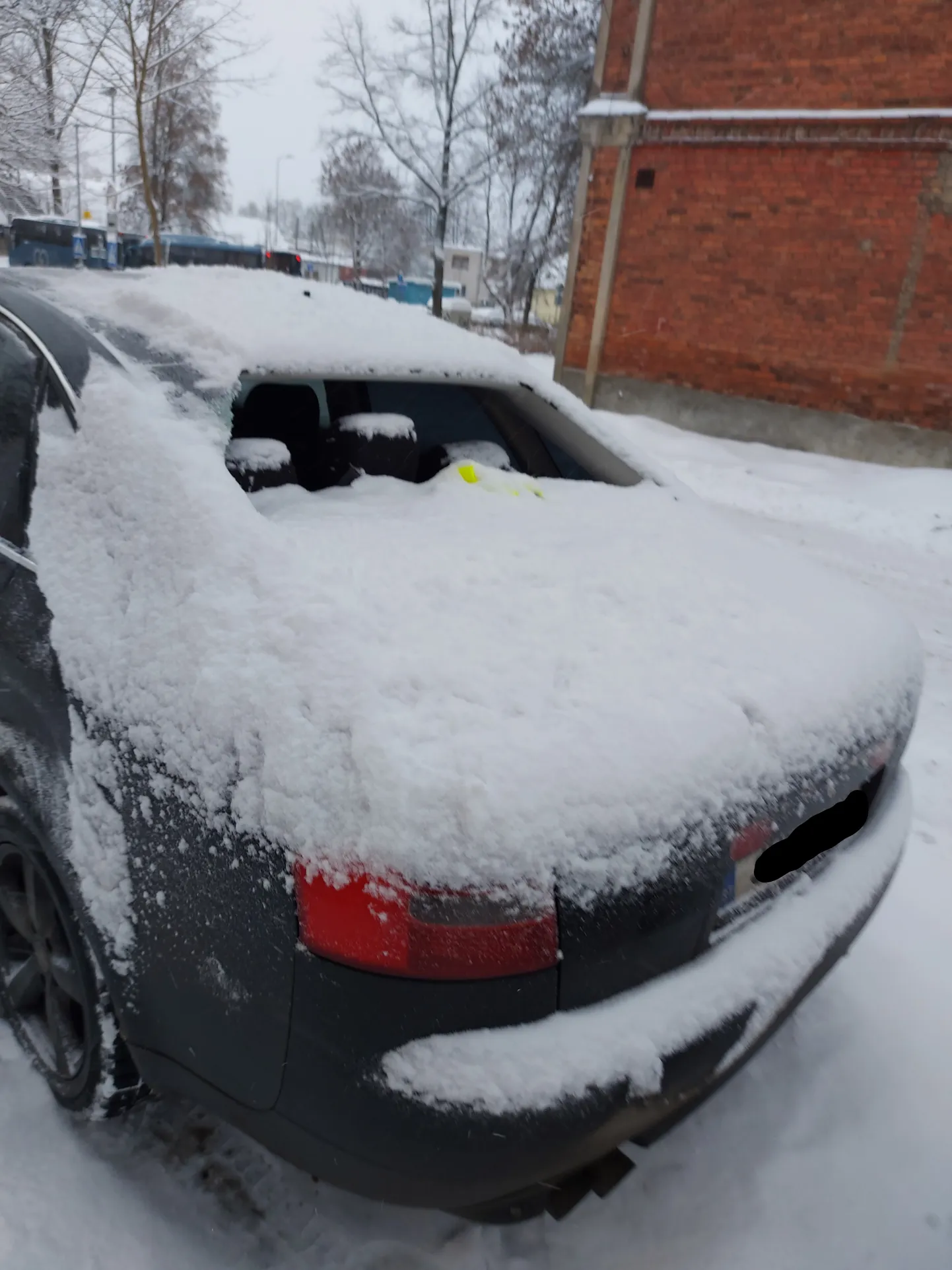 Valgas elava Liisi auto