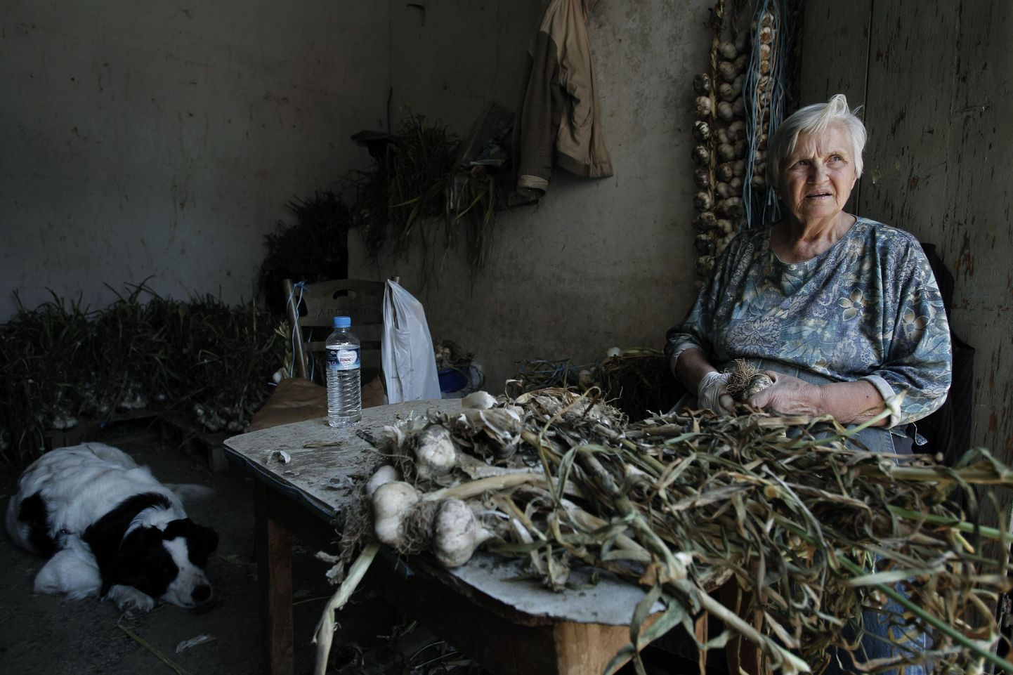 75-aastane Efgenia Tsindoukidi puhastab Ateenas perekonna köögiviljapoes küüslauku