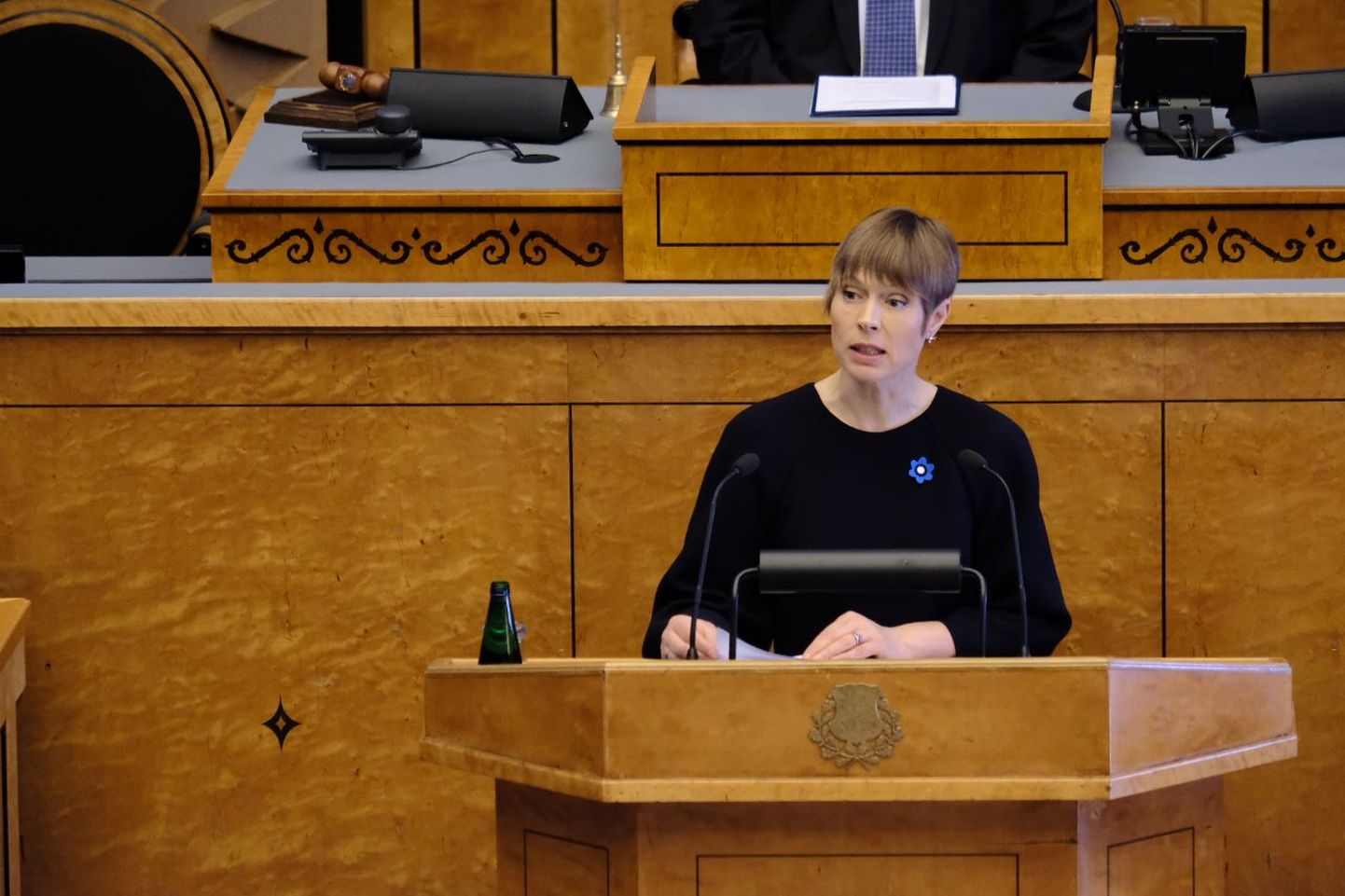 President Kersti Kaljulaid riigikogu ees.