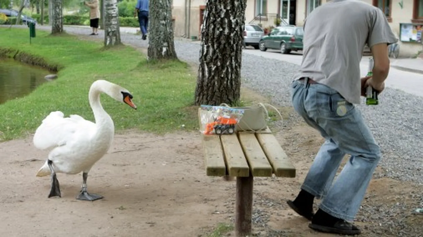 Raksta foto