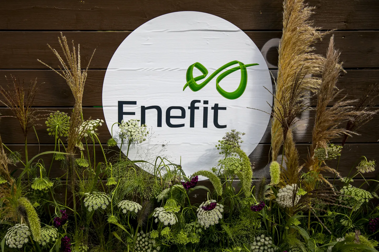 Enefit.