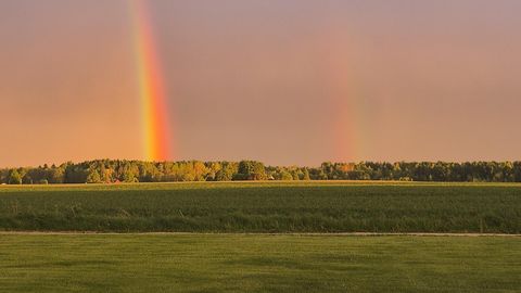 Nädala mõte: maaelu romantika