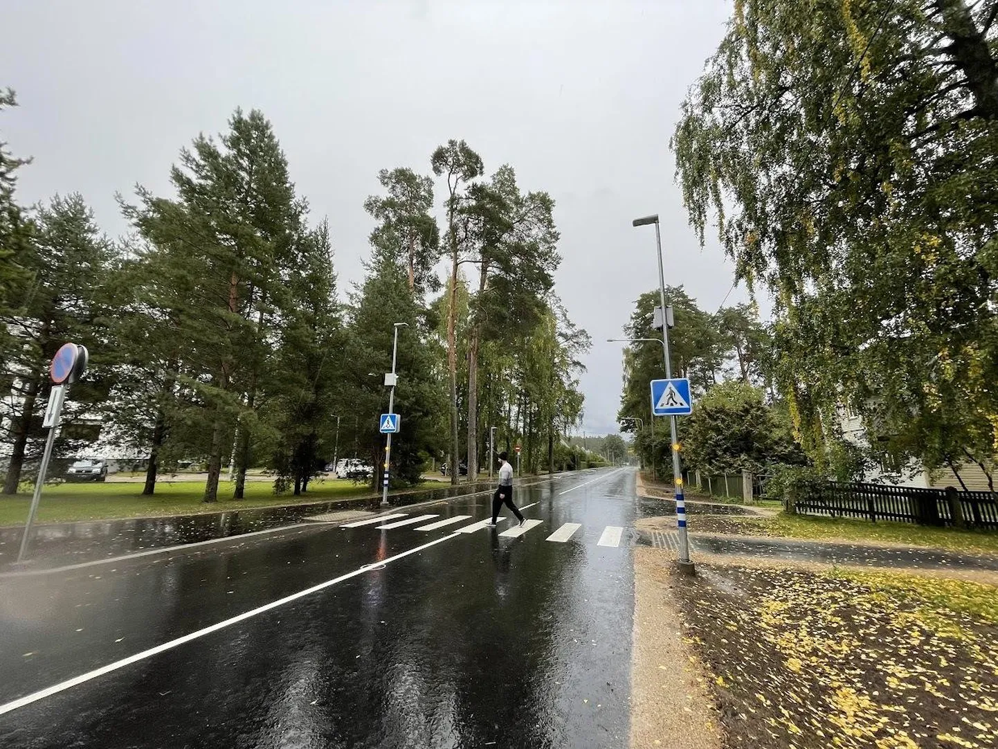 Elvas Puiestee tänaval kooli lähedal annab nutikas ülekäigurada autojuhile jalakäijast tuledega märku.