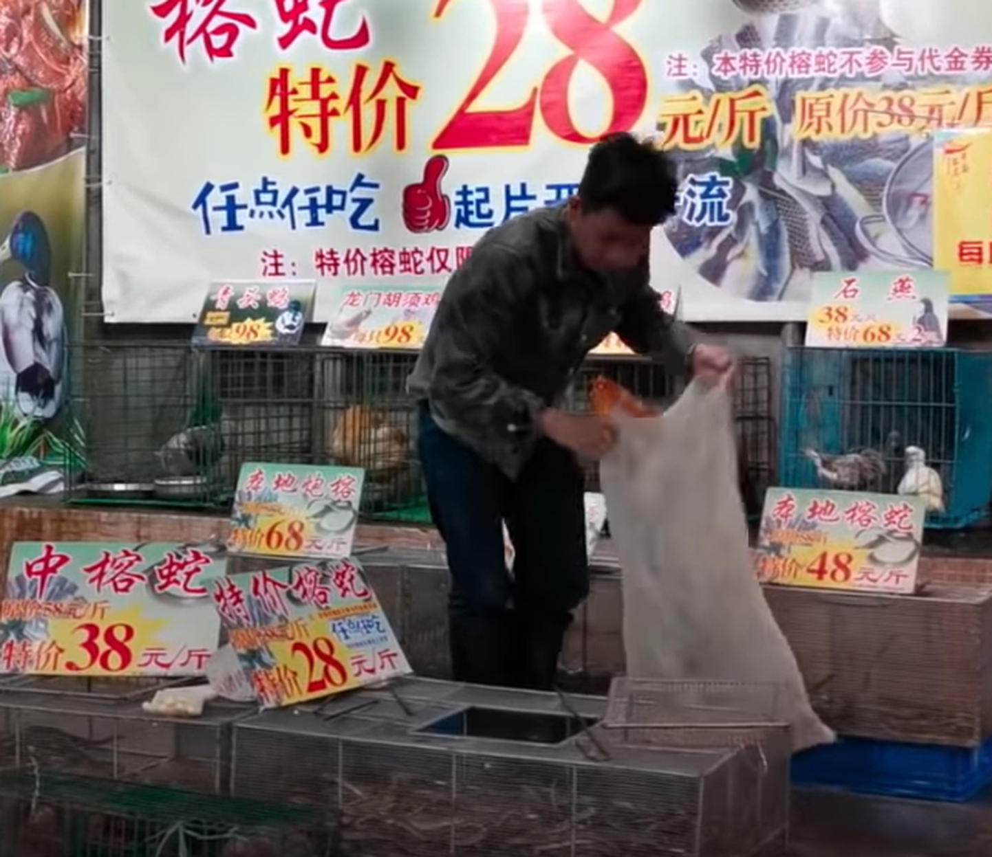 Продавец наполняет пакет живыми змеями.