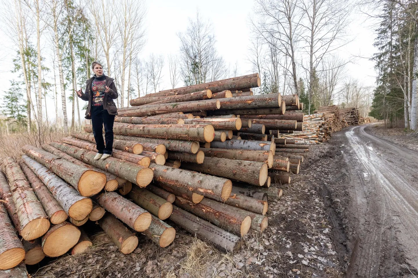 RMK tegi Vodja kooli lähedases metsas, kus õpilased loodust ja loomi vaatlesid, lageraiet. Palgihunniku otsas on Vodja kooli õpetaja Helen Arusoo.