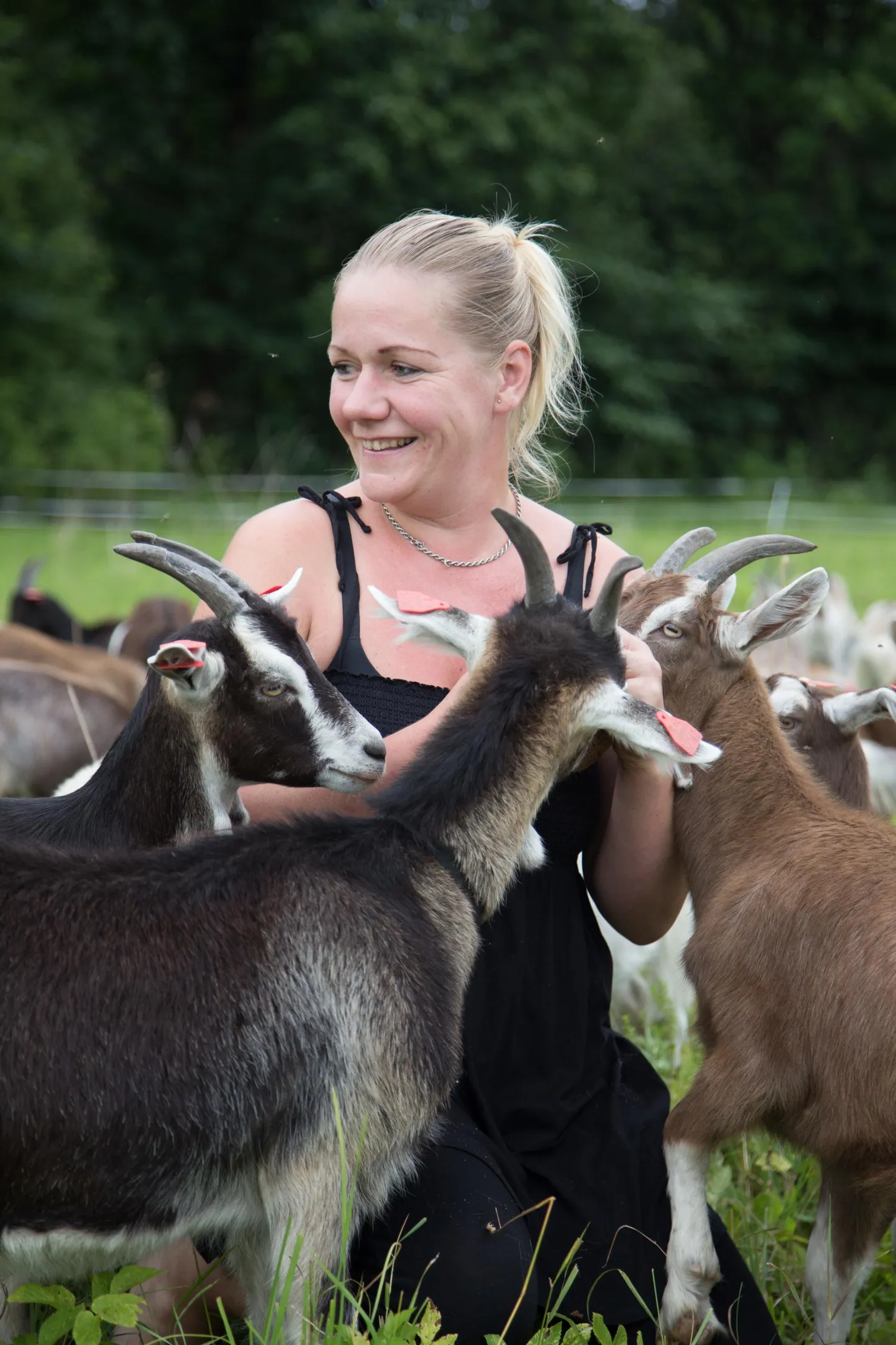 Järva- ja Viljandimaa piiril kitsetalu pidav Anne-Mai Sutt on loomade arvu kõvasti koomale tõmmanud.