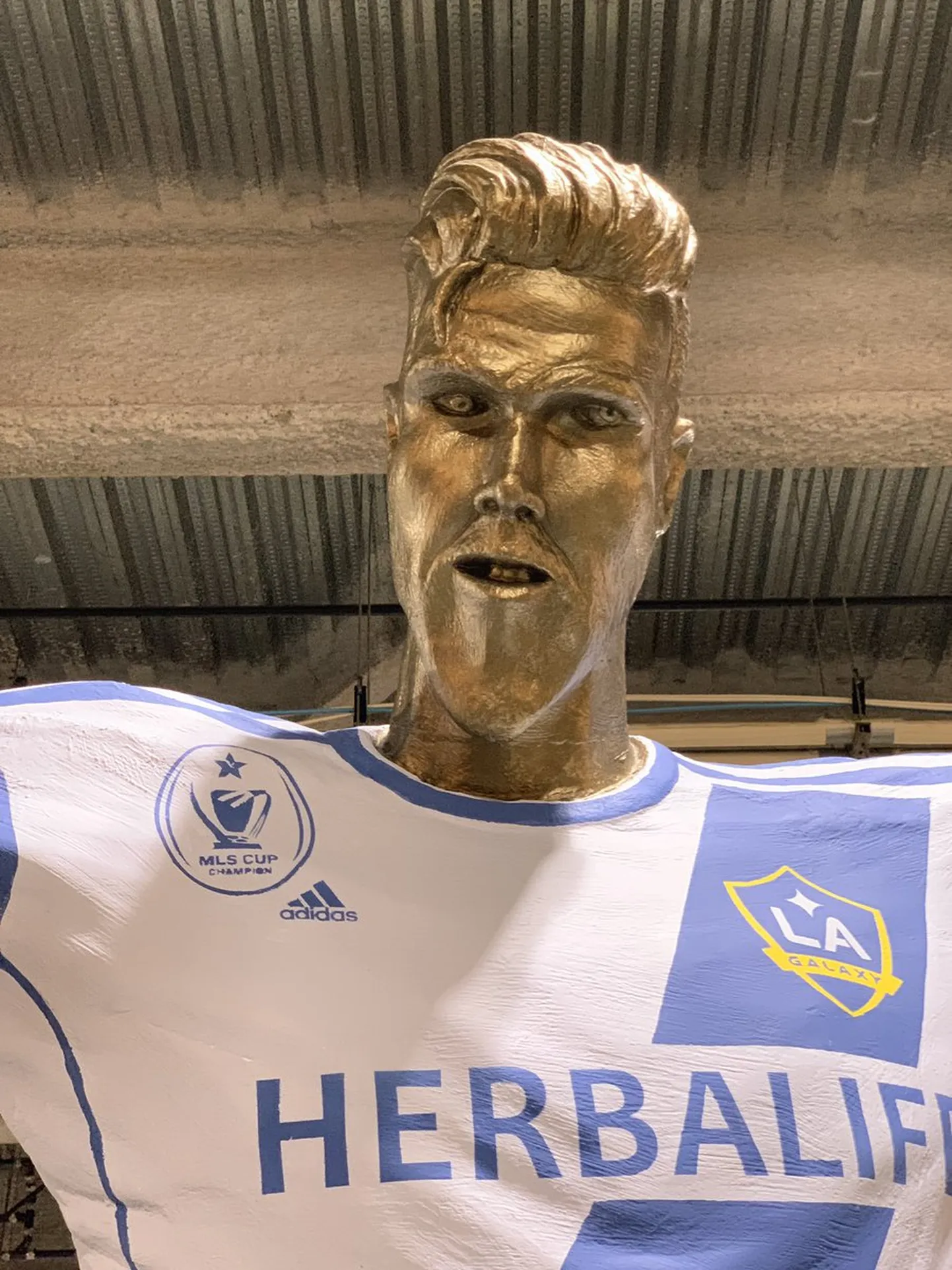 David Beckhami libaausammas.