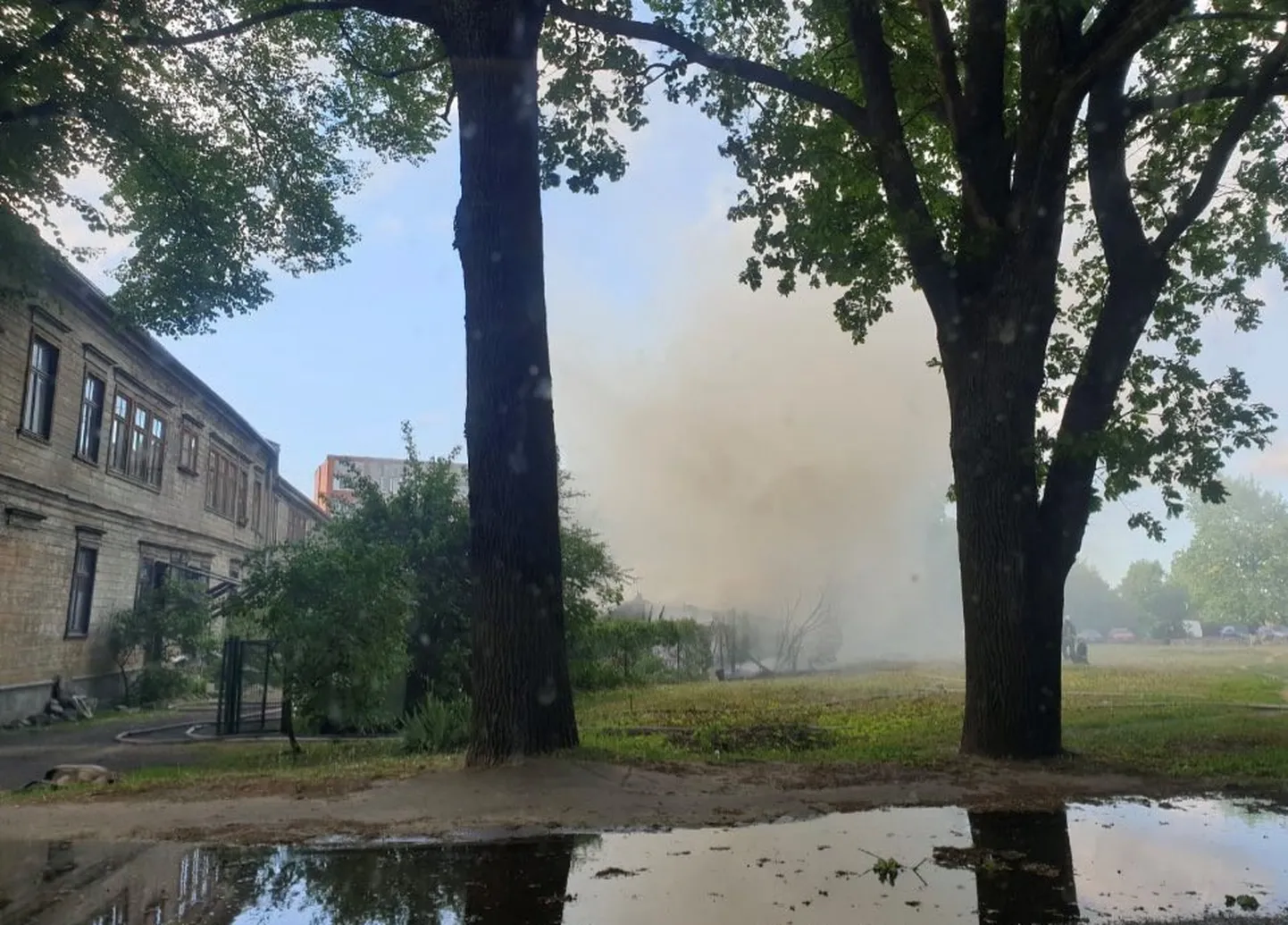 Raksta foto