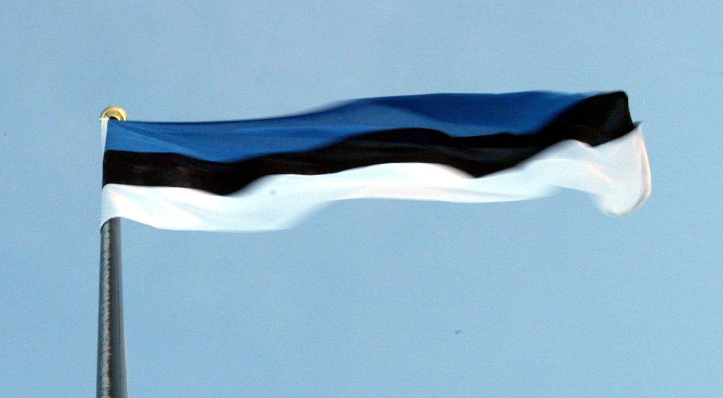 Laupäeval heisatakse emakeelepäeva puhul Eesti lipud.