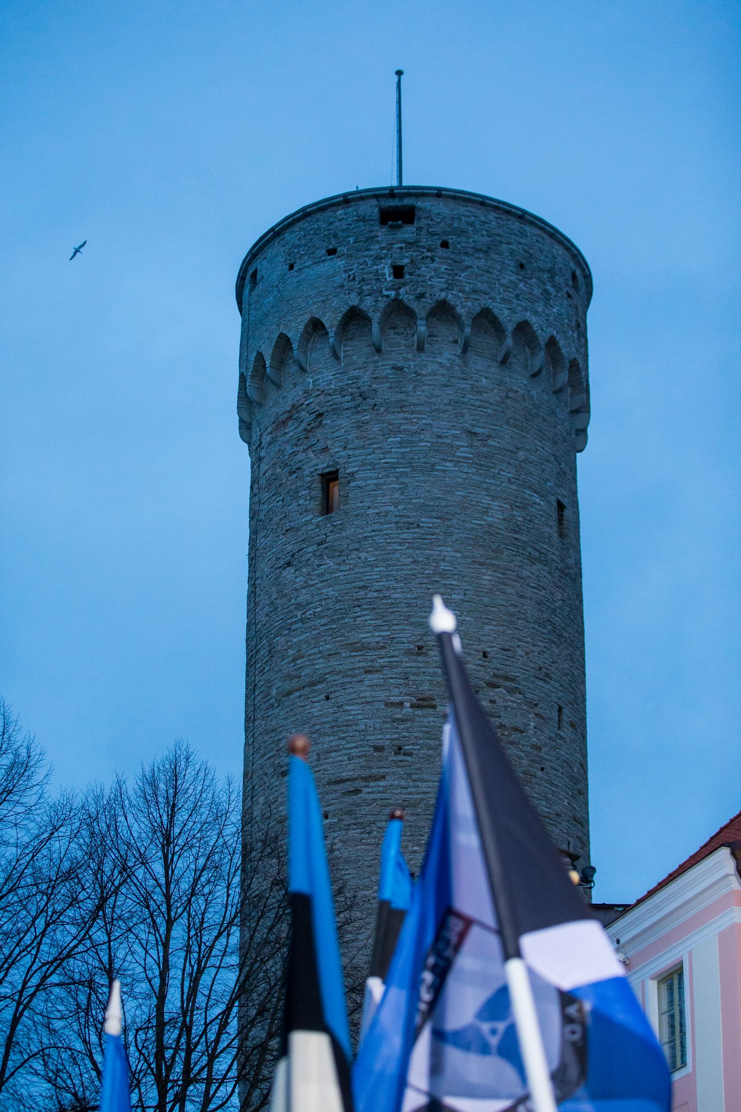 Eesti hümni pealkiri ja autorid mainitakse ära muudetavas lipuseaduses. Hümni laulmist ei reglementeerita.