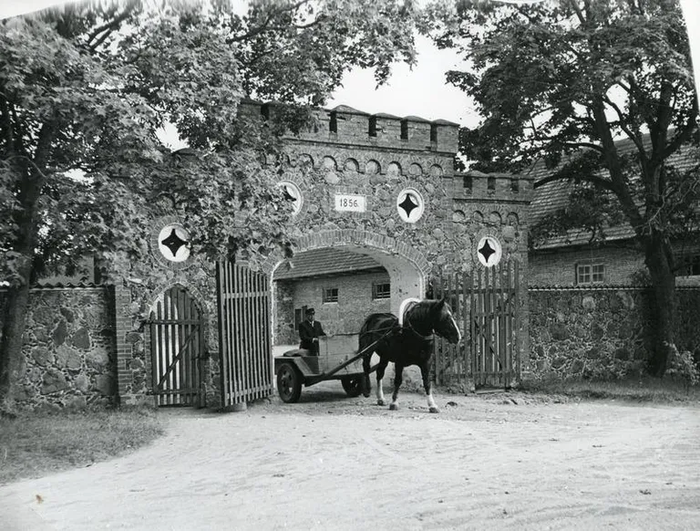 Tori hobuste tõuraamat avaldati juba 1921. aastal, kuid 1925. aastal pandi ametlikult kirja: see on Eesti oma hobune.