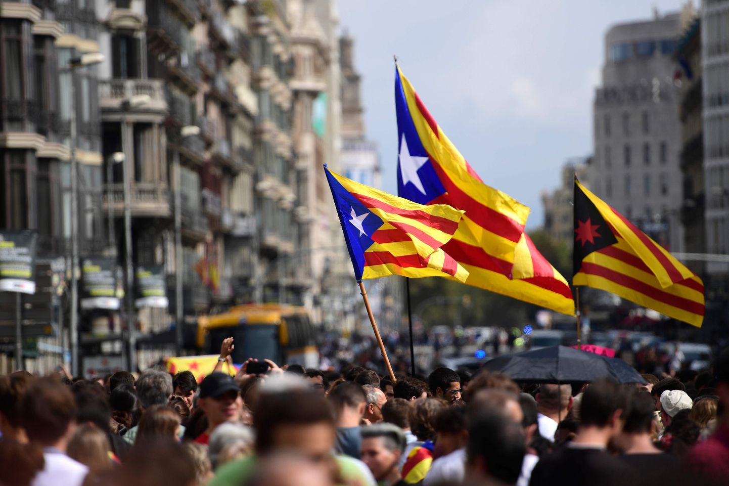 Флаги Каталонии.