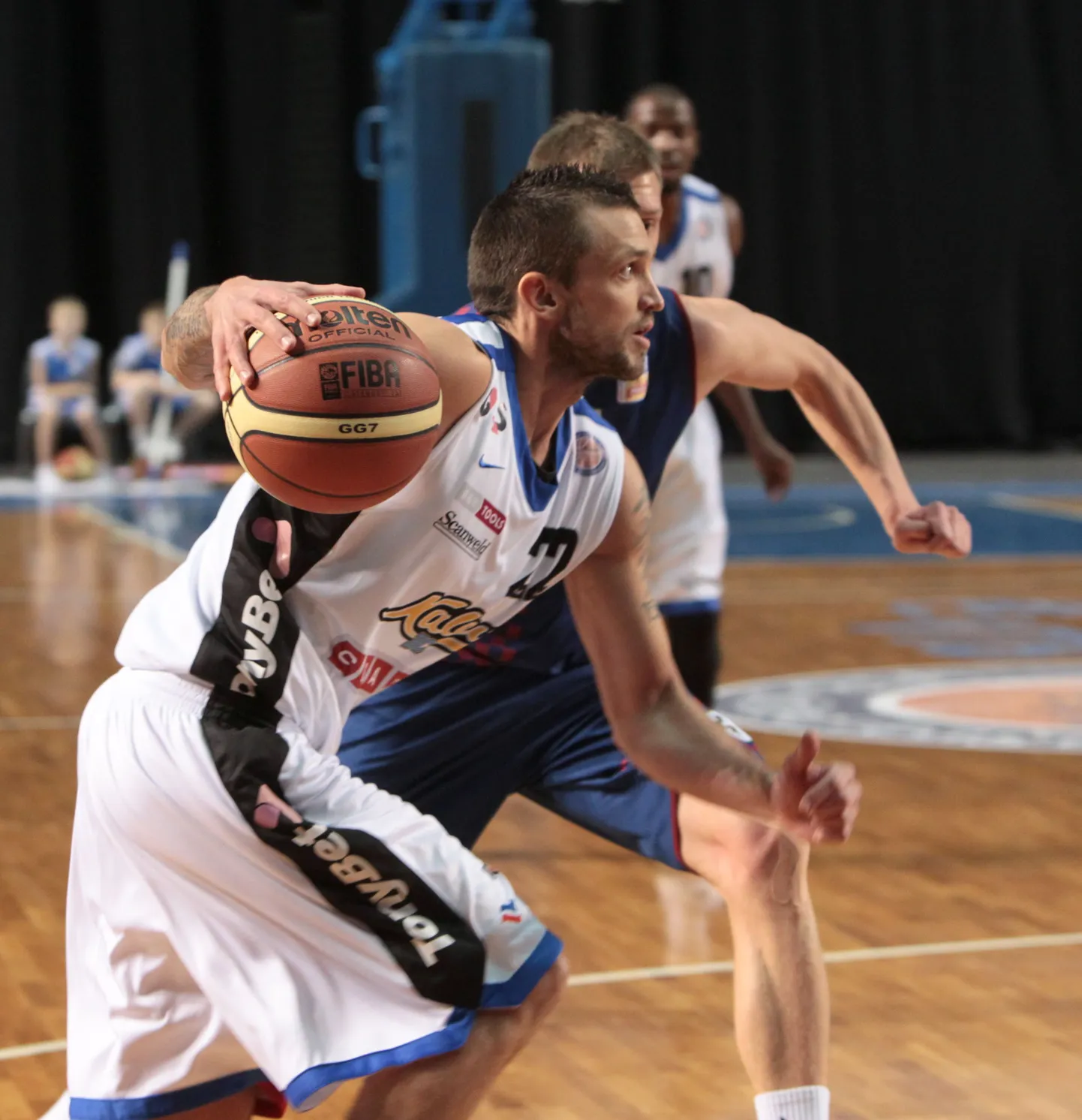 Armands Škele (palliga).