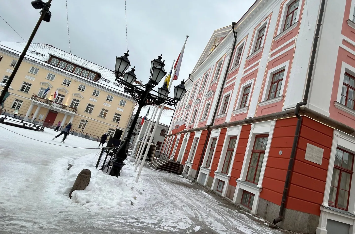 Lilleke puhkes õide Tartu raekoja ja uisuplatsi vahel, hoone vundamendi servas.