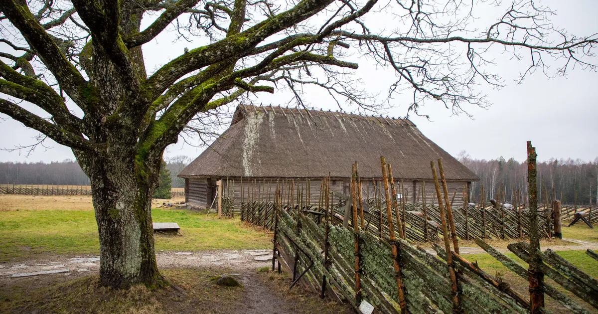 Vargamäe muuseum sai uueks püsiekspositsiooniks suure rahasüsti