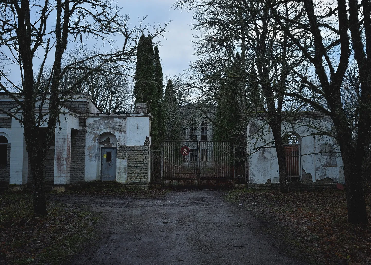 Фото статьи