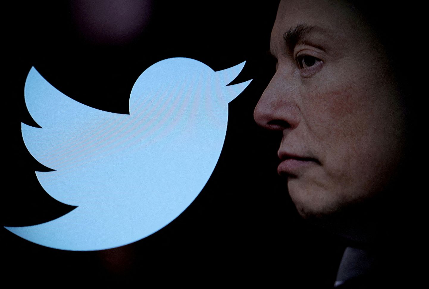 Elon Musk saadab Twitteri koos linnukeselogoga ajaloo prügikasti
