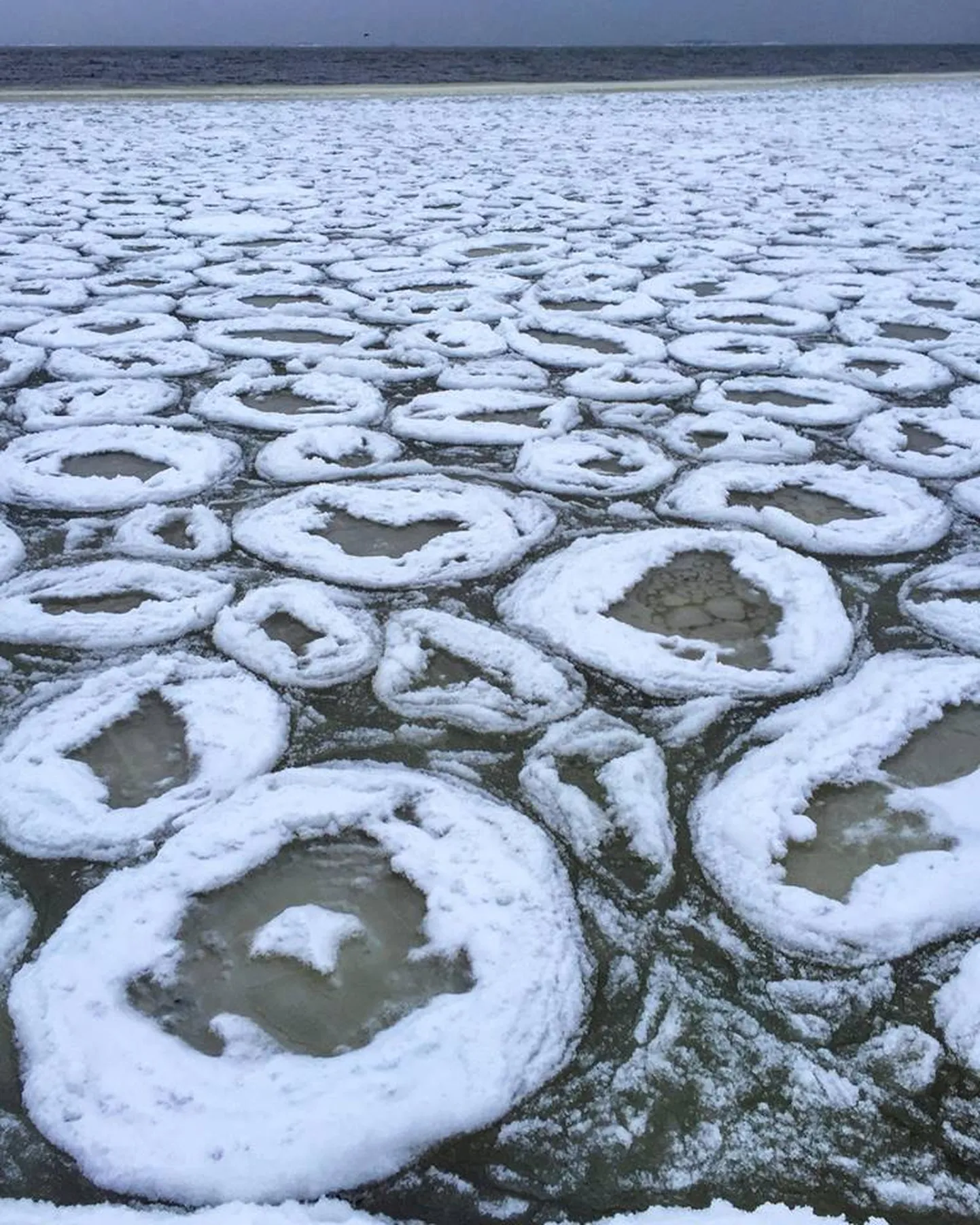 Фото статьи