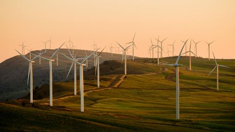 Warning Sounds From Wind Turbines Could Save Eagles’ Lives