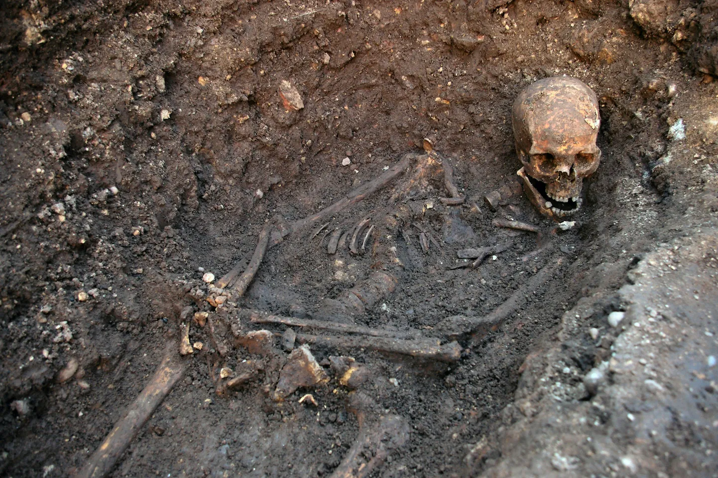 Richard III jäänused