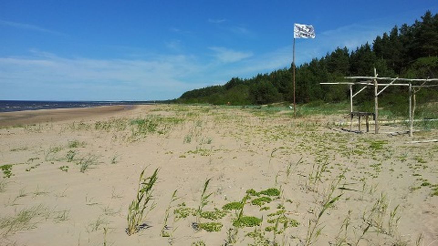 Kokkuleppel Narva-Jõesuu linnavalitsusega peavad nudistid nendele eraldatud umbes 400meetrisel rannalõigul hoidma puhtust ja korda. Tänavu meisterdati randa uhutud materjalist varikatuse karkass. Sealsamas pandi üles ka lipp.
