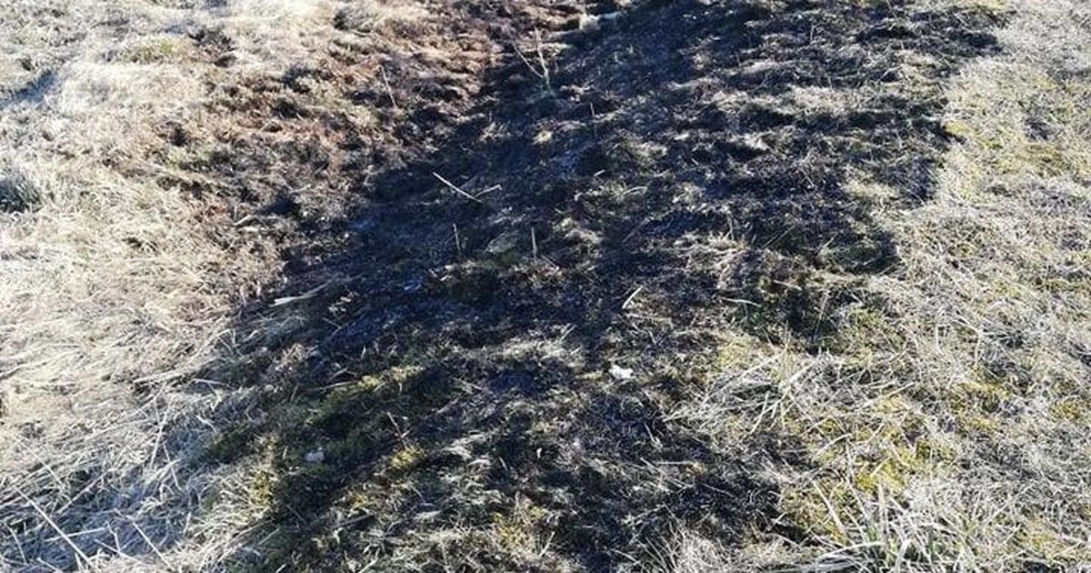 Kulupõlengud andsid päästjaile rohkelt tööd