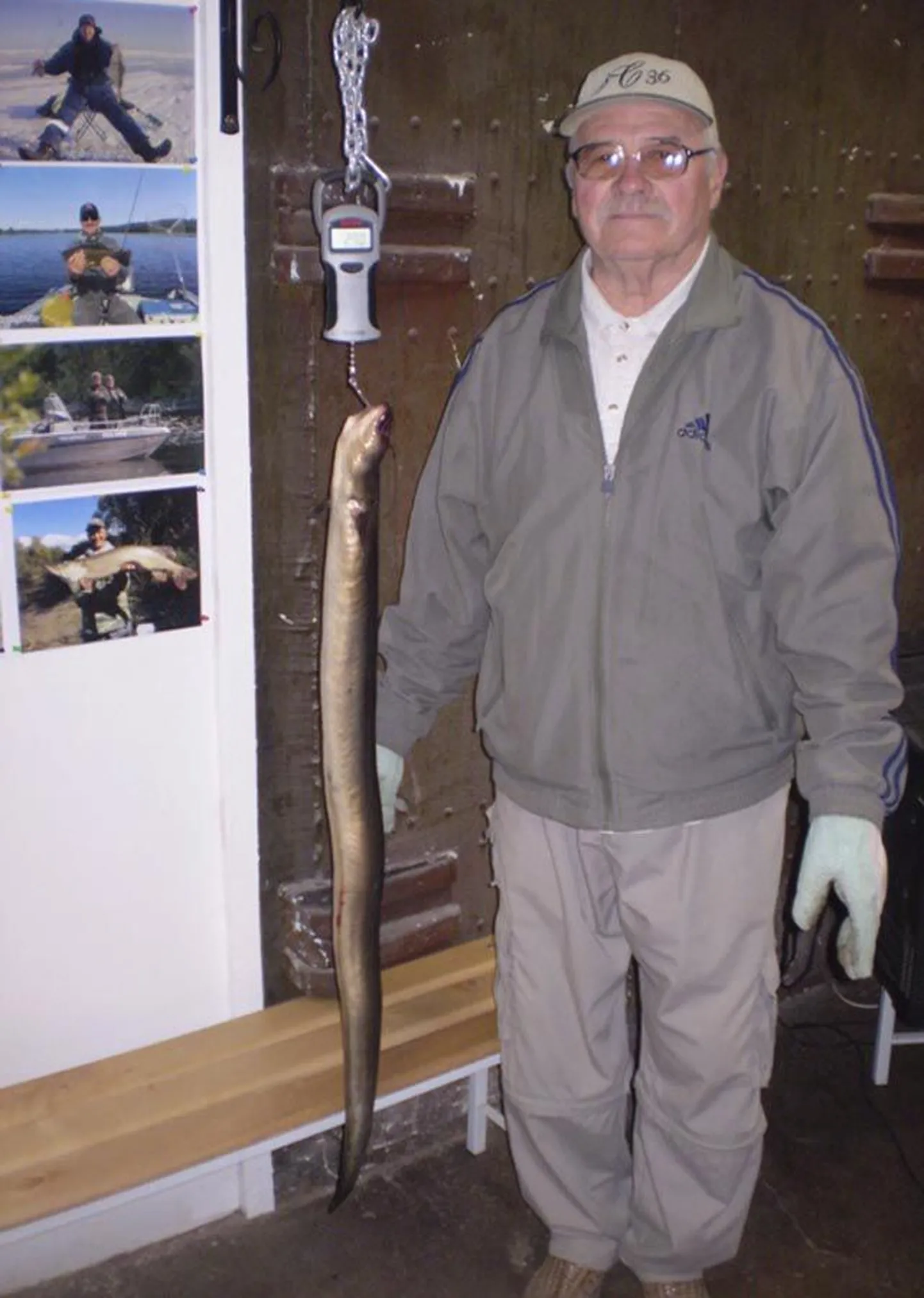 Kui Peeter Koval enam kui meeter pika angerja Viljandi Kalastuskeskusesse viis ja kaalukonksu otsa riputas, vajusid kõigi juures olnud meeste suud ammuli. Tabloole ilmus näit 2,70 kg.