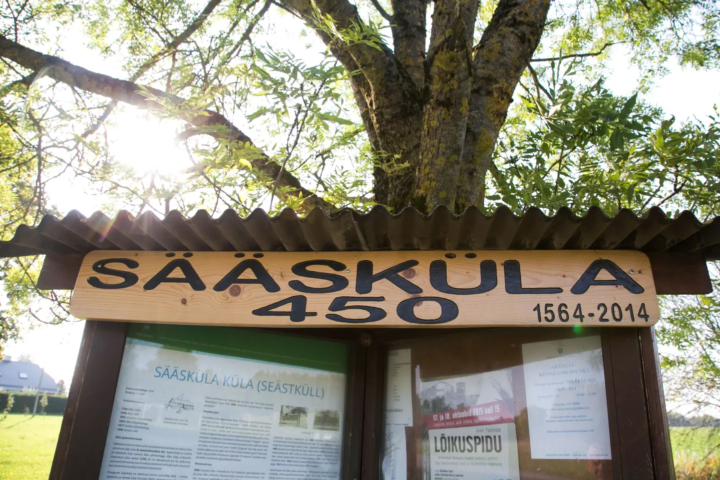 Sääsküla