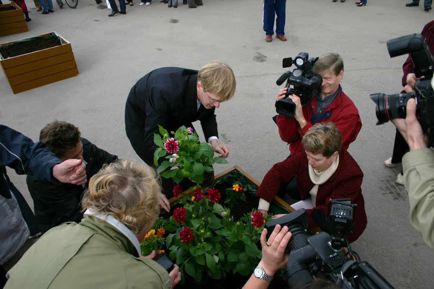 В честь открытия рынка были высажены цветы.